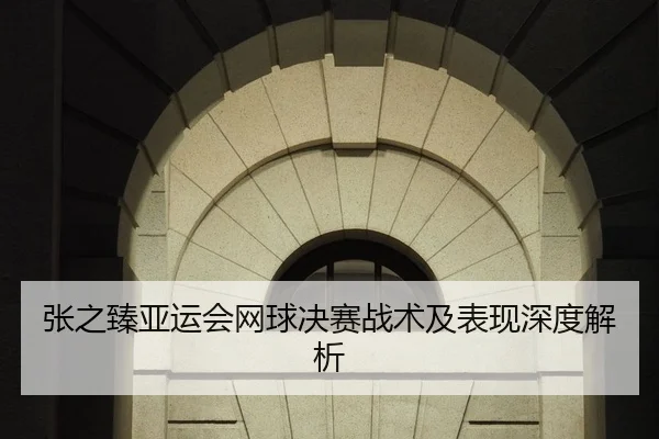 张之臻亚运会网球决赛战术及表现深度解析
